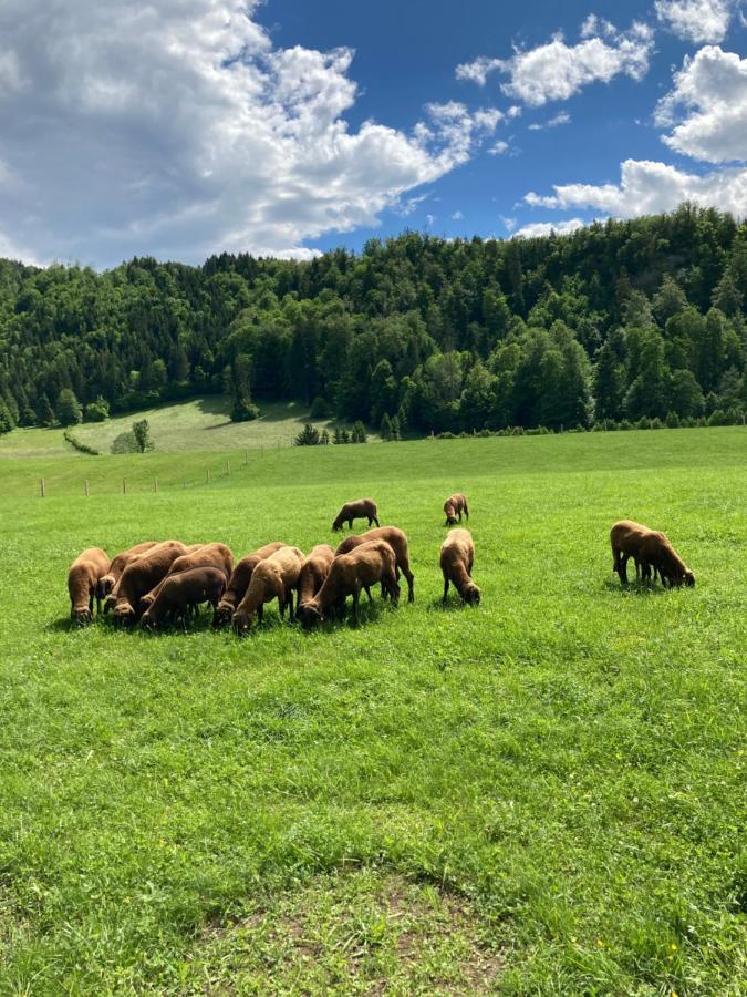 Haus Haslach Elsbethen Exteriör bild
