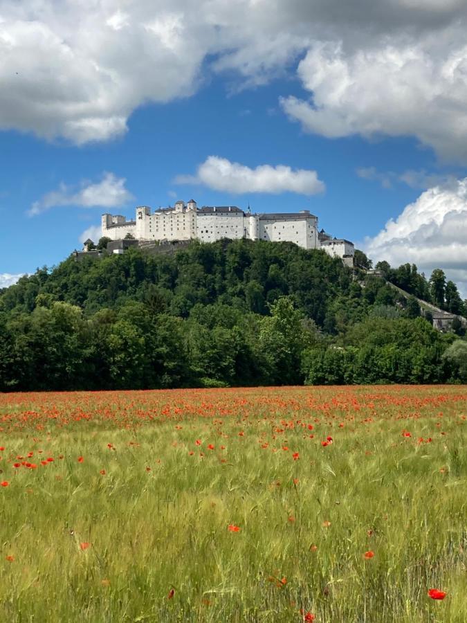 Haus Haslach Elsbethen Exteriör bild